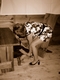 S-DSC01081_1.JPG [128078 bajtw]