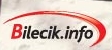 Bilecik Info