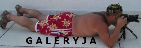 GALERYJKA