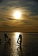 N_DSC_1031.JPG [105420 bajtw]